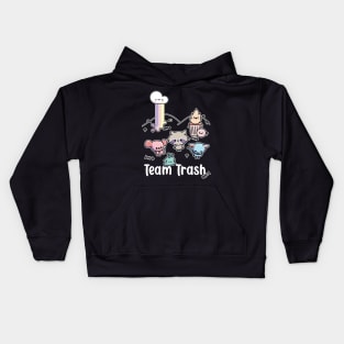 Kawaii Raccoon, Rat and Opossum, Team Trash Pastel Rainbow Kids Hoodie